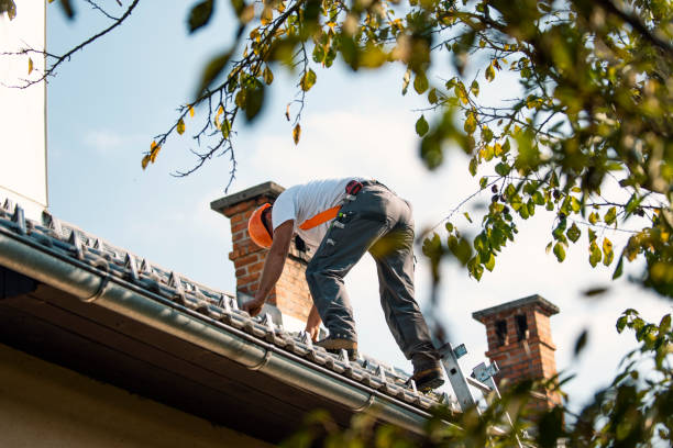 Best Roof Repair Services  in Harrisonville, MO