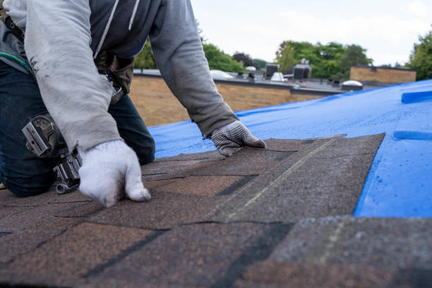 Quick and Trustworthy Emergency Roof Repair Services in Harrisonville, MO