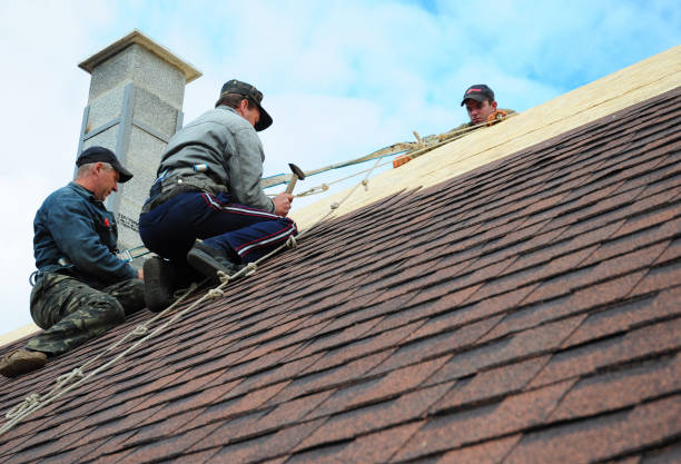 Best Roof Gutter Cleaning  in Harrisonville, MO